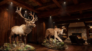 Best Taxidermy Mount Ideas for Trophy Rooms