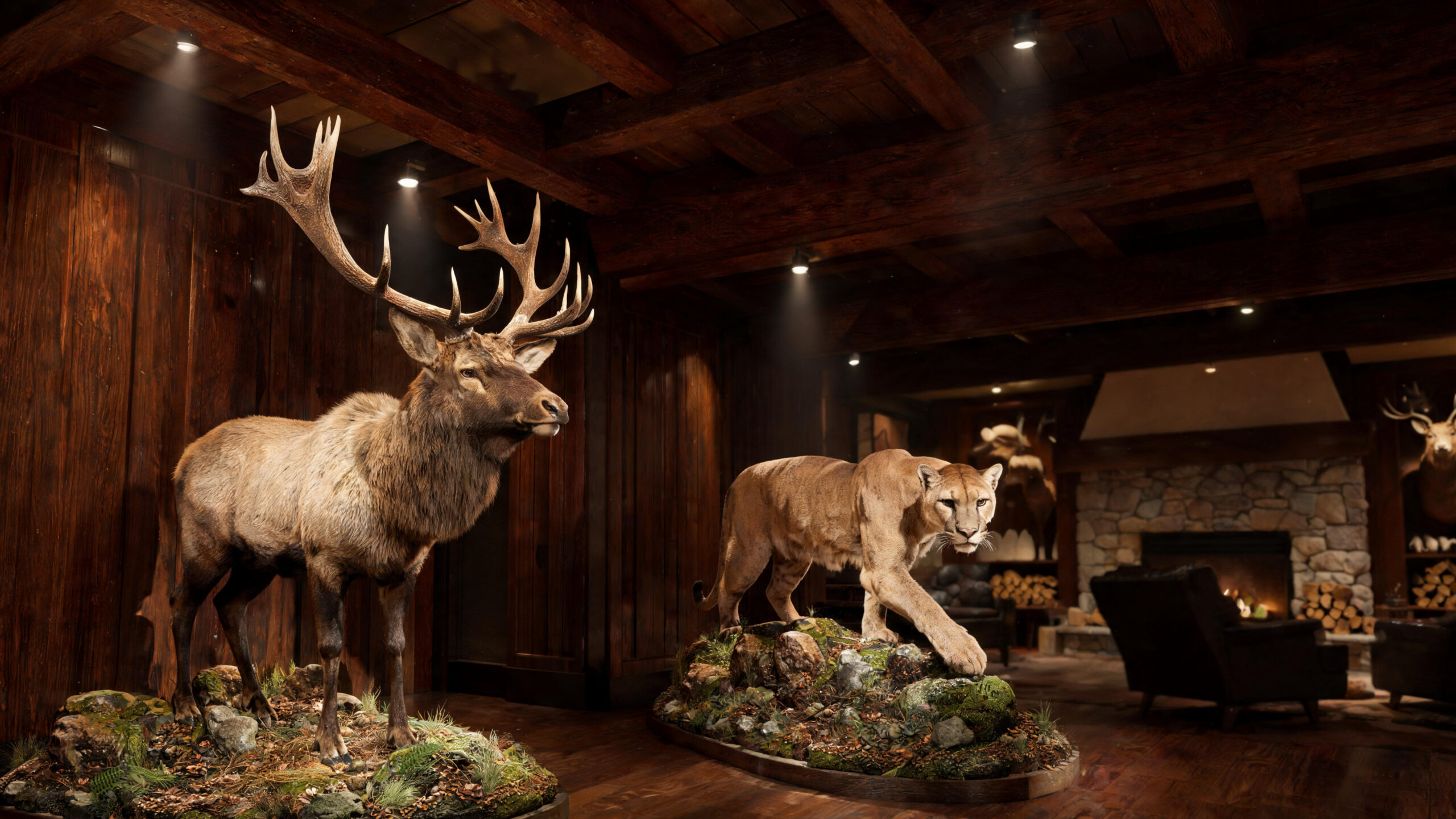 Best Taxidermy Mount Ideas for Trophy Rooms