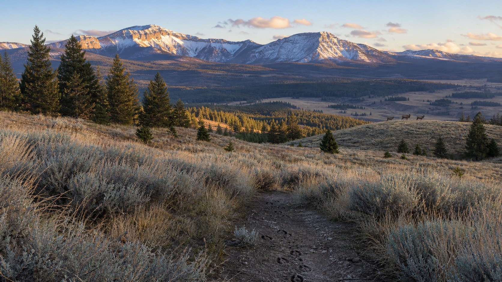 Western public land vista with big game habitat and distant elk